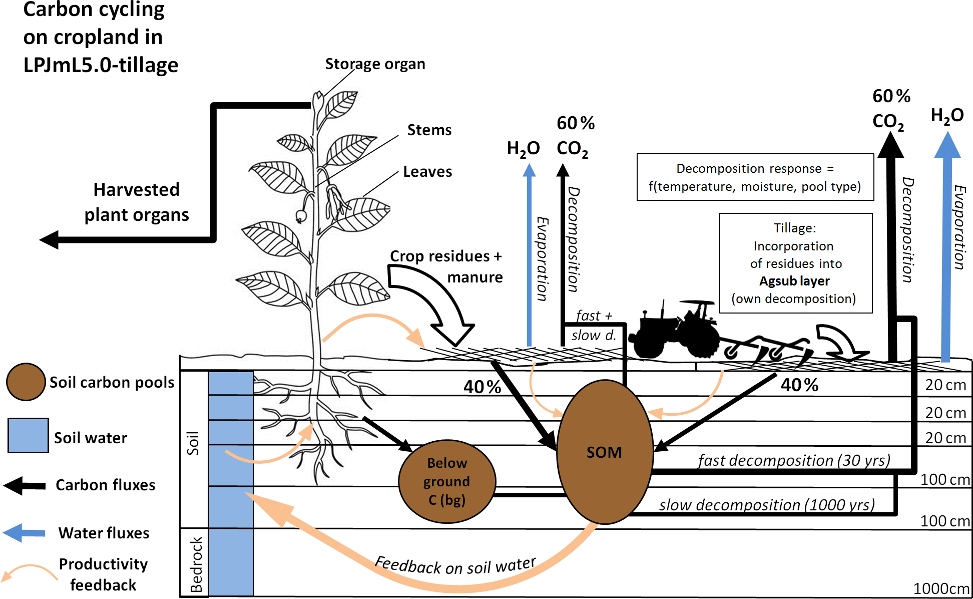 esd-soil-organic-carbon-dynamics-from-agricultural-management