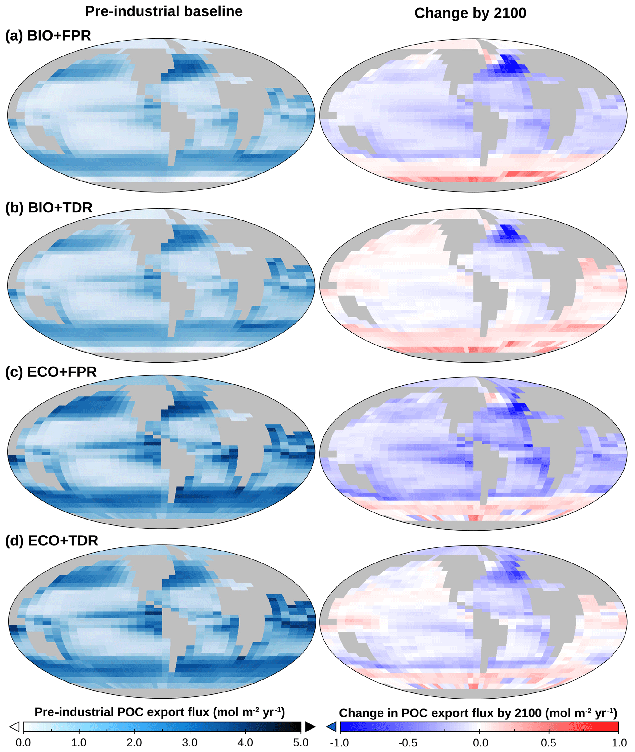 EcoGEnIE POC export maps for default calibrations of BIO+FPR, BIO+TDR, ECO+FPR, and ECO+TDR, showing baseline export patterns (left) and the change in POC export by 2100 relative to the 1765 preindustrial baseline as a result of RCP4.5 (right). Baseline export is highest in high-latitude waters and along the equator in all configurations, but is higher in the ECO configurations and slightly lower in the TDR configurations. In BIO+FPR export declines in low and mid-latitude waters and increases in high-latitude waters by 2100; adding TDR reduces the low and mid-latitude decline, while adding ECO increases the decline in these areas. Plot created with Panoply, available from NASA Goddard Space Flight Center.