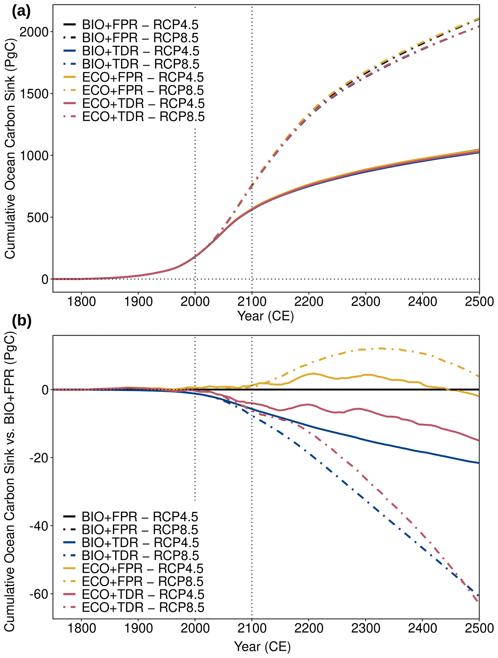 Graphs showing ecoGEnIE simulation results for the absolute cumulative ocean carbon sink and the cumulative ocean carbon sink relative to BIO+FPR under different configurations and forcing scenarios. Results for RCP4.5 and RCP8.5 are shown for each of the default calibration configurations (BIO+FPR, BIO+TDR, ECO+FPR, ECO+TDR). Adding TDR reduces the cumulative ocean carbon sink (-20 GtC by 2500 under RCP4.5, -40GtC under RCP8.5), adding ECO temporarily increases the sink (~0 GtC RCP4.5, +5GtC RCP8.5), and ECO+TDR results in an overall decrease in the sink (-15 GtC RCP4.5, -40 GtC RCP8.5).